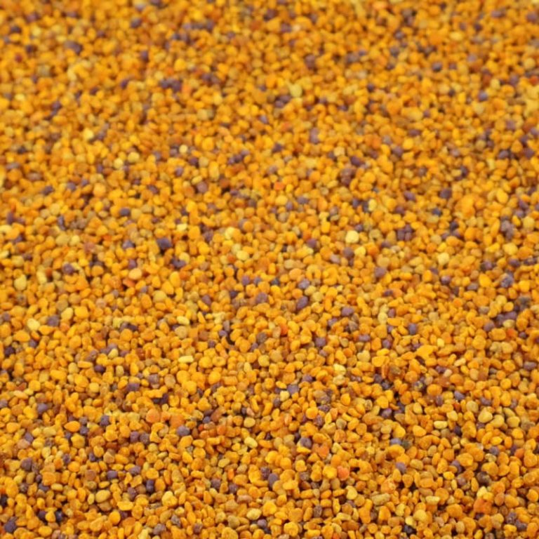Bijenpollen Raw